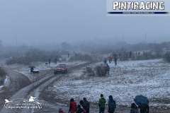 SDA_1694-copy