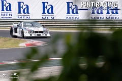Pintiracing_Hungaroring_Classic_2019_061