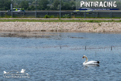 Pintiracing_Laptiming_Kupa_20240427_088