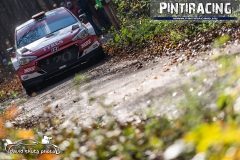 Pintiracing_Rally_Hungary_2020_029