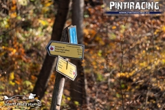 Pintiracing_Rally_Hungary_2020_033