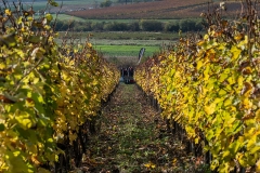 Pintiracing_Rally_Hungary_2020_065