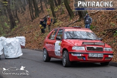 Pintiracing_Rally_Hungary_2020_101