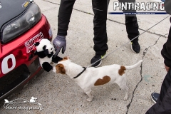 Pintiracing_Sebesseg_Fesztival_2019_069