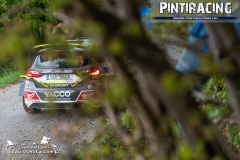 Pintiracing_WRC_Croatia_Rally_2022_Shakedown_024