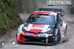 Pintiracing_WRC_Croatia_Rally_2023_058